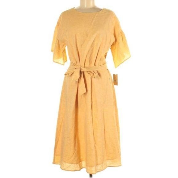 Cremieux Natalia Spring Horizon Gold Ivory Stripe Ruffle Sleeve Midi Dress Small - Picture 3 of 6